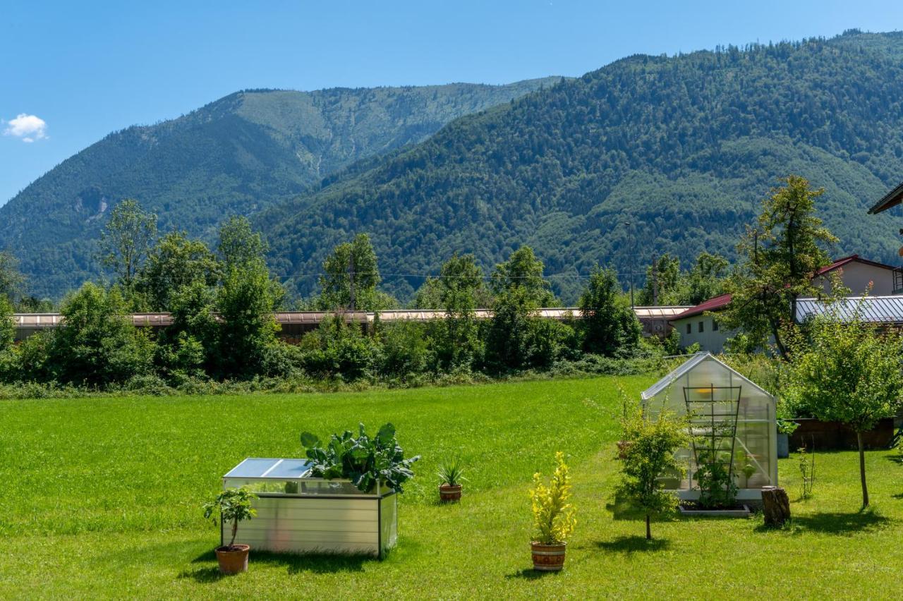 Fruehstueckspension Haus Ahamer Ebensee Ngoại thất bức ảnh